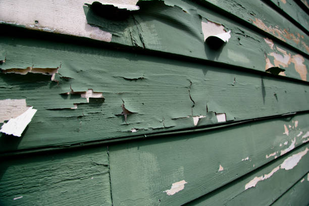 Best Moving and Downsizing Cleanouts  in Garden City, MI