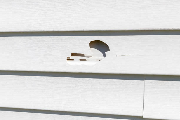 Best Same-Day Junk Removal Services  in Garden City, MI