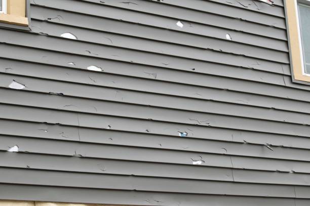 Best Basement Cleanout  in Garden City, MI